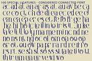 Considered Connected - Elegant Serif, a Serif Font by 177Studio (Thumbnail 8 of 8)