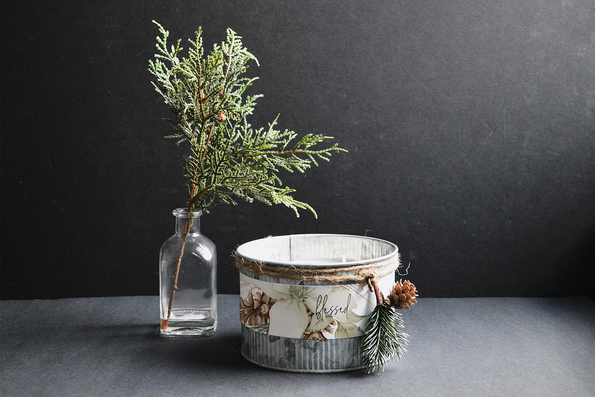 WINTER FLORALS watercolor set, a Decorative Illustration by Yuliia Lashevska (Photo 3 of 10)