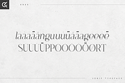 Dree serif typeface - 6 fonts, a Serif Font by Only Fonts (Thumbnail 9 of 10)