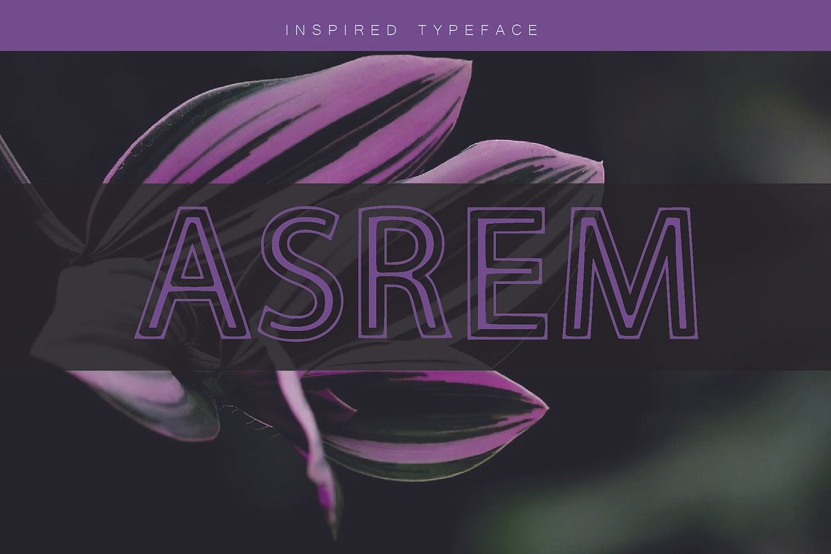 ASREM, a Serif Font by khalwa.studio (Photo 4 of 5)