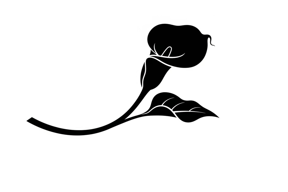 Black Lily Flower Vector Bundle, an Illustration by Designs_River (Photo 47 of 51)