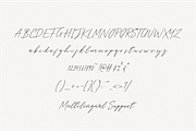 Tantinotes - Handwritten Font, a Script Font by Sronstudio (Thumbnail 9 of 9)