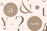 Ginkgo - Modern Classy Serif Font, a Serif Font by Sensatype (Thumbnail 10 of 20)