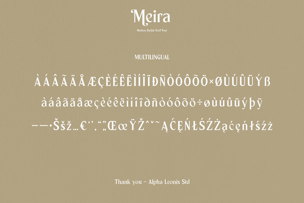Meira Serif, a Serif Font by Alphaleonis_std (Photo 9 of 9)