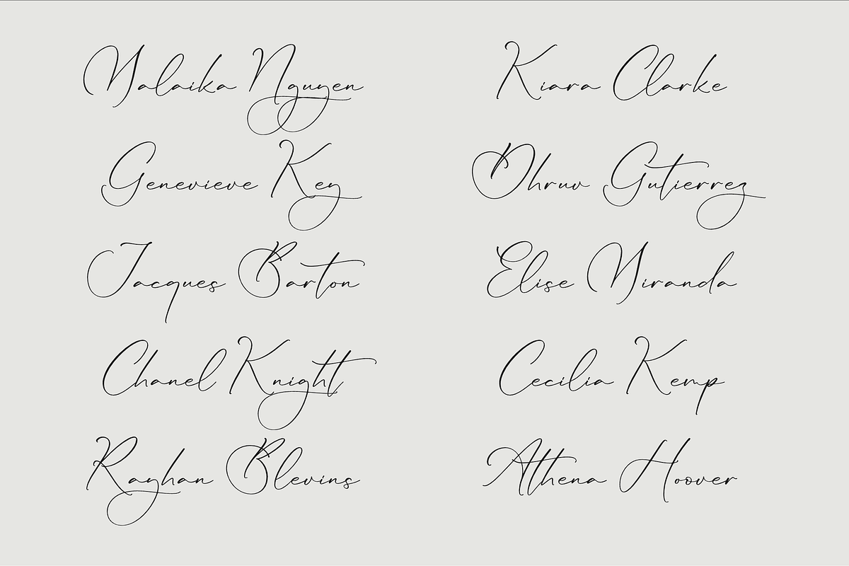 Lillywhite A Beautiful Script Font, a Script Font by Storytype Studio (Photo 9 of 15)