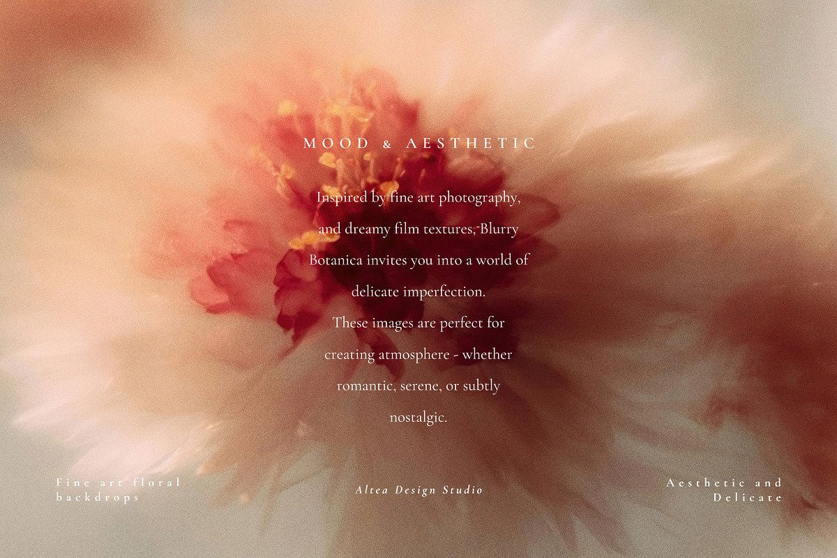 Autumn Blurry Floral Backgrounds, a Background Graphic by Altea Design Studio (Photo 5 of 15)