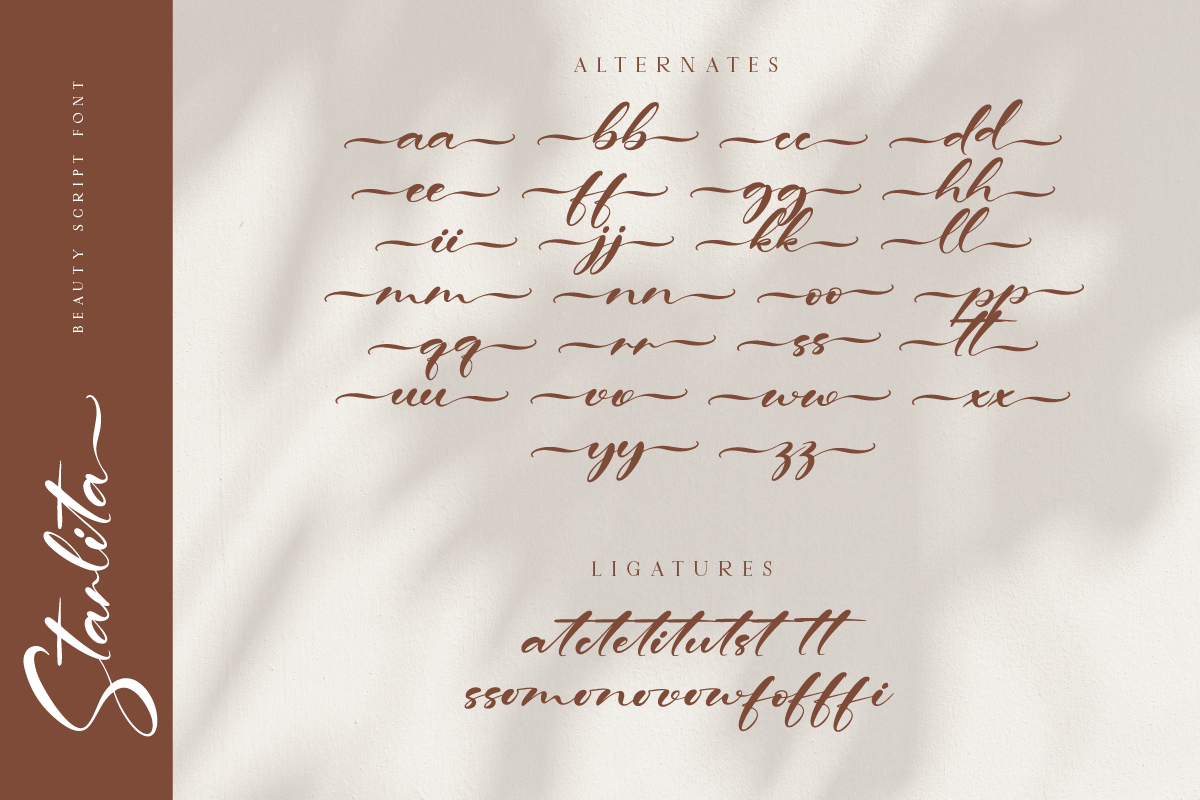 Starlita Elegant Beauty Script Font, a Script Font by Ronny Studio (Photo 9 of 9)