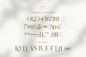 GLORISE Elegant Serif Font