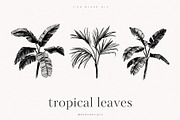 Tropical Leaves, a Decorative Illustration by PeDe Designs (Thumbnail 4 of 7)