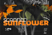 Scanned Sunflower Photocopies, a Graphic by Pásha (Thumbnail 1 of 5)