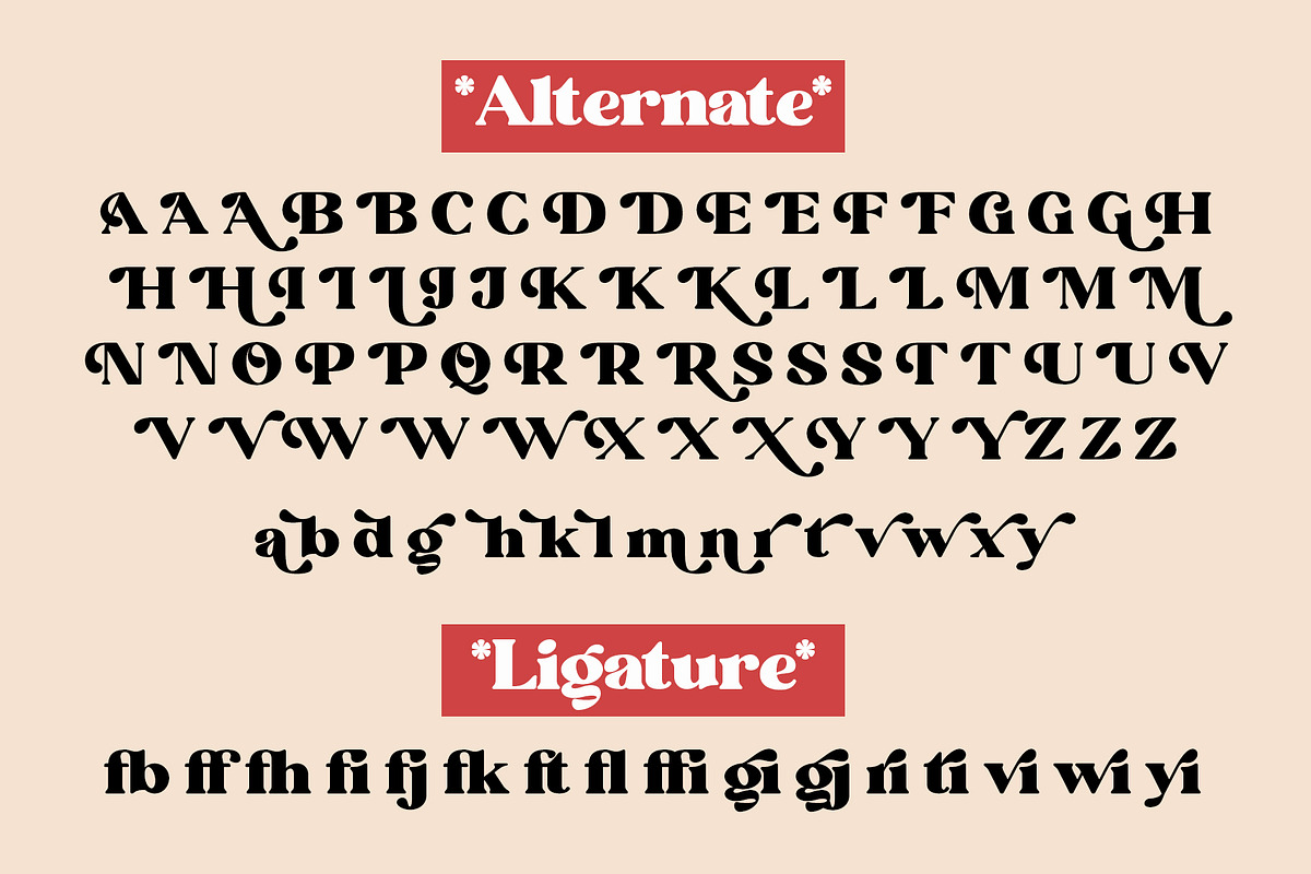 Mountain Daisy - Stylish Serif, a Serif Font by Myn Type (Photo 11 of 11)