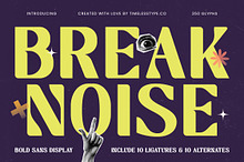 Break Noise Bold Sans Display