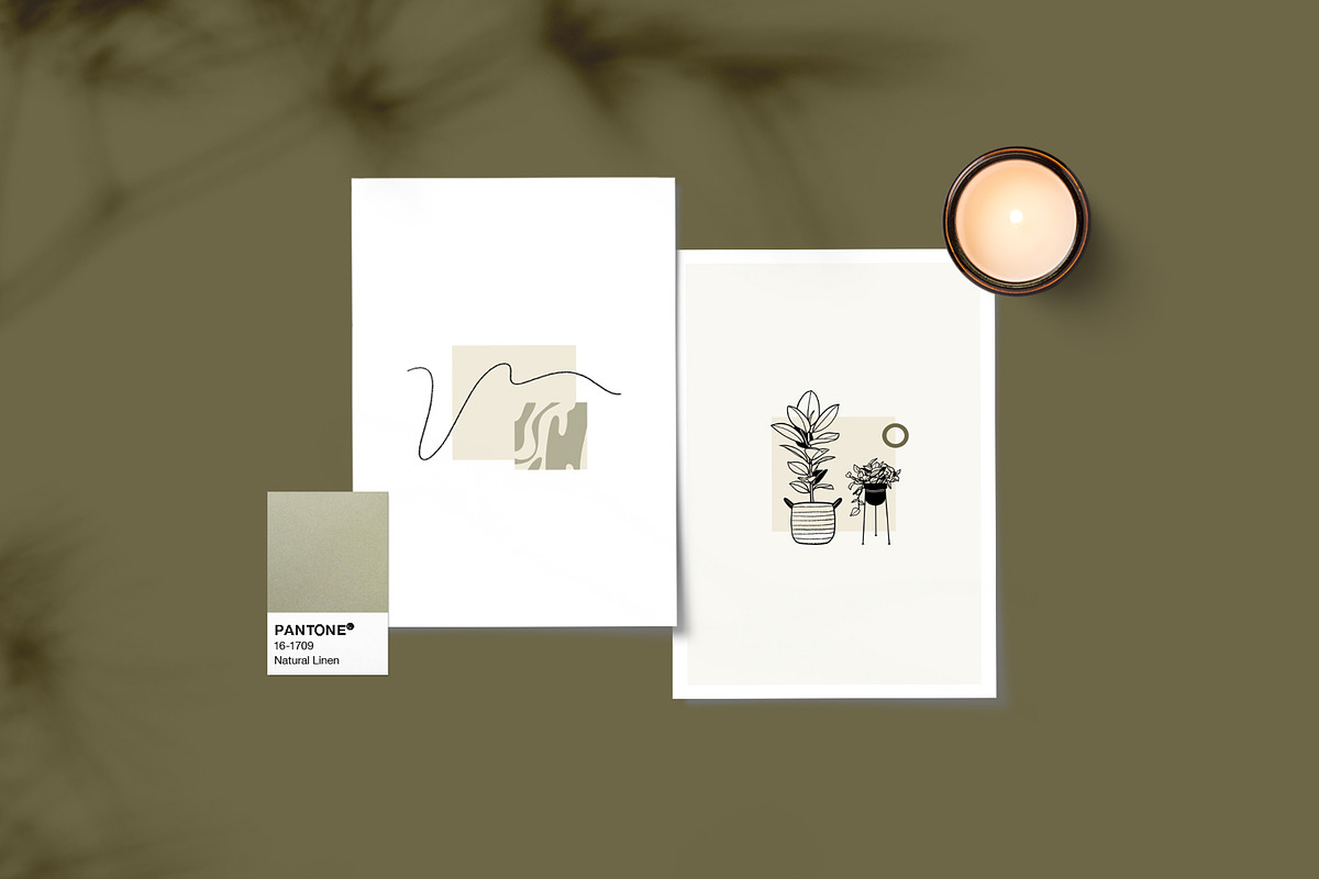 House Plants and Pots Collection, an Illustration by imajineko (Photo 2 of 9)