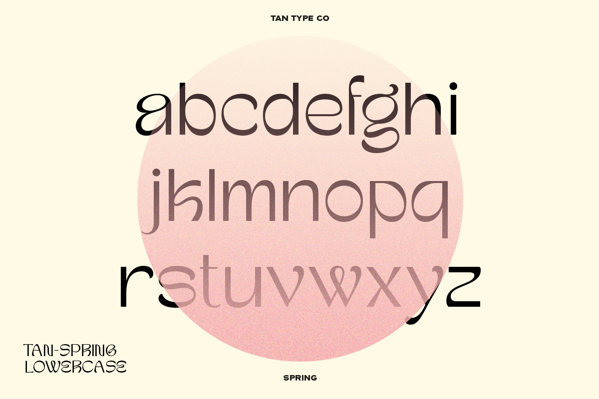 TAN-SPRING, a Sans Serif Font by TanType (Photo 5 of 13)