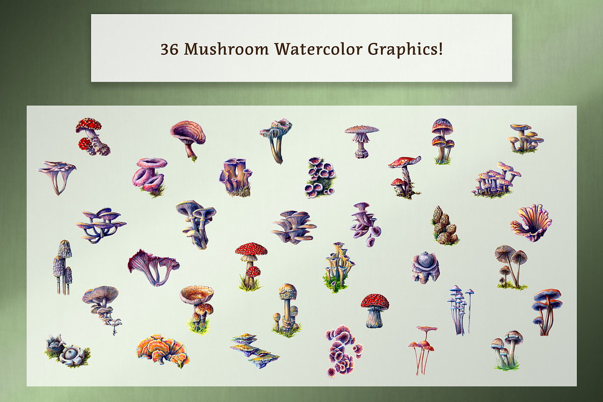 Ultimate Witchcraft Bundle!, an Animal Illustration by The Curio Cabinet (Photo 14 of 16)