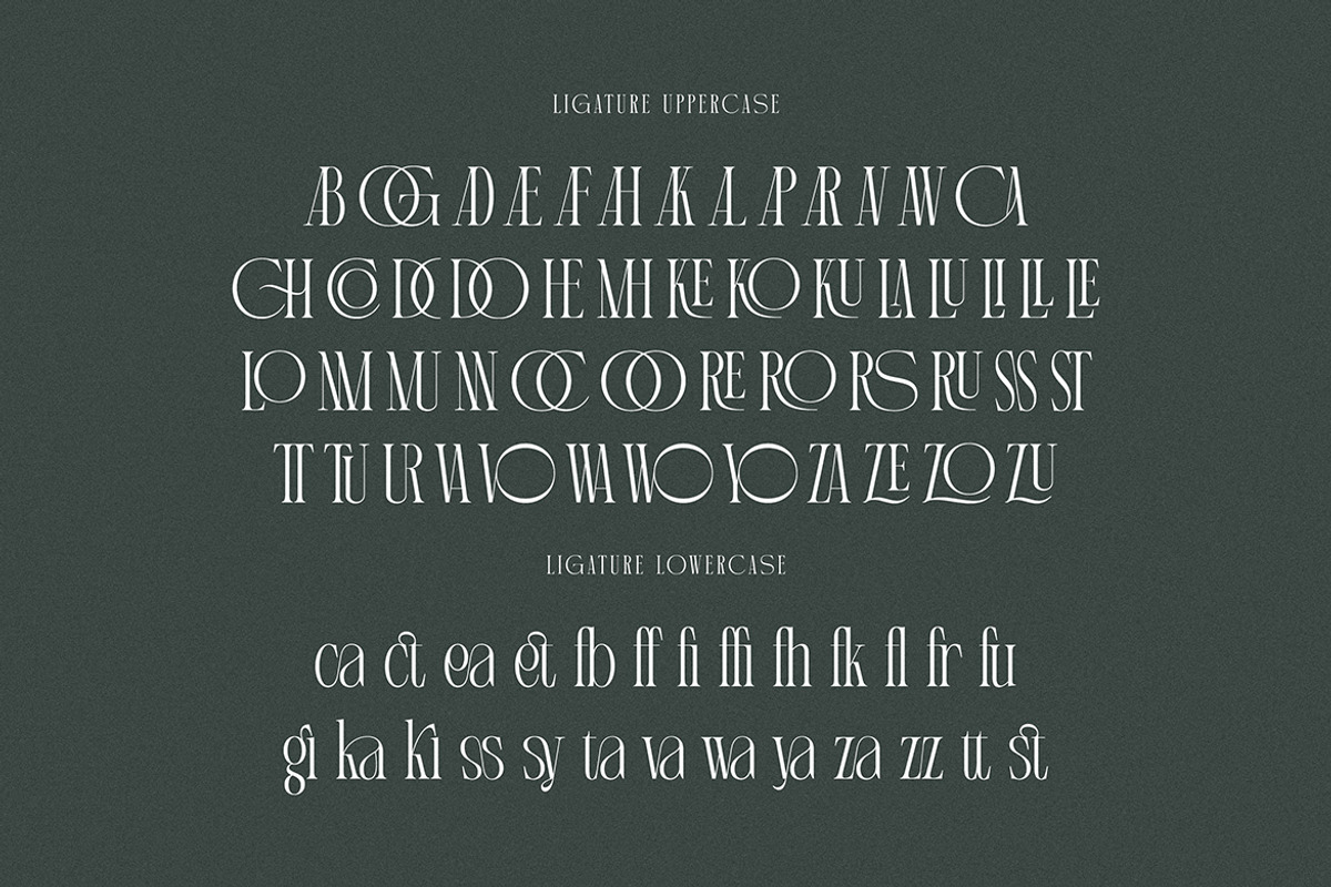 Martin Langley Elegant Serif, a Serif Font by Cruzine (Photo 7 of 8)