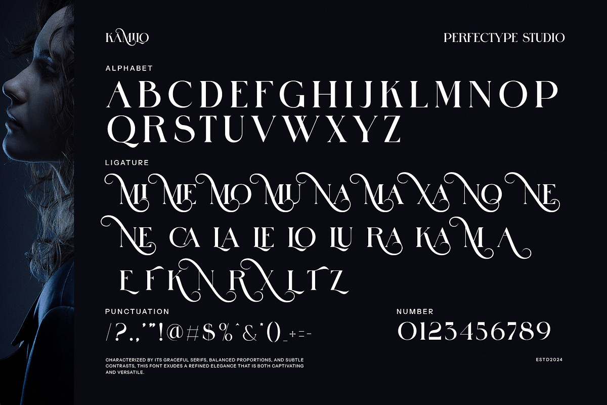 Kamilo Elegant Serif Font, a Serif Font by Perfectype (Photo 8 of 8)