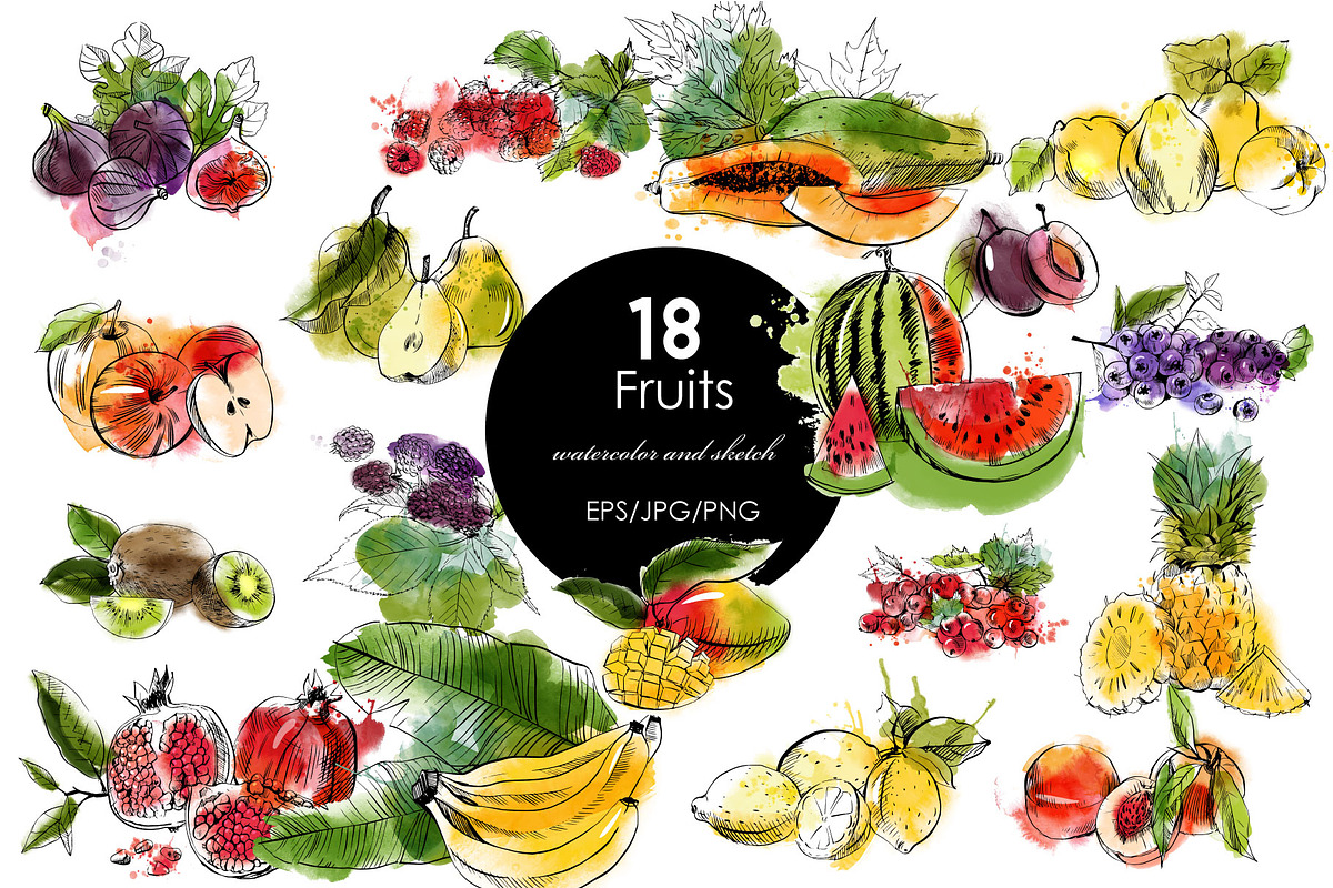 60 Vegetabiles and Fruits., an Illustration by Tatiana Davidova (Photo 2 of 3)