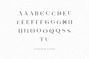 Moon Type Creative logo font, a Serif Font by VP Fonts (Thumbnail 13 of 18)
