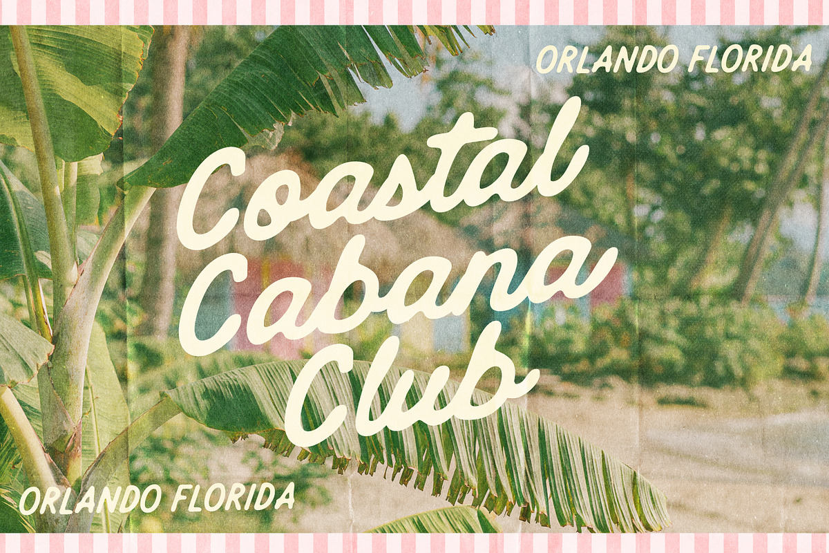 Nougatine Script Font Family, a Script Font by Nicky Laatz (Photo 15 of 23)