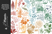 Mixed Media Brushes for Procreate, a Brush Add-On by AJ Brushes (Thumbnail 4 of 9)