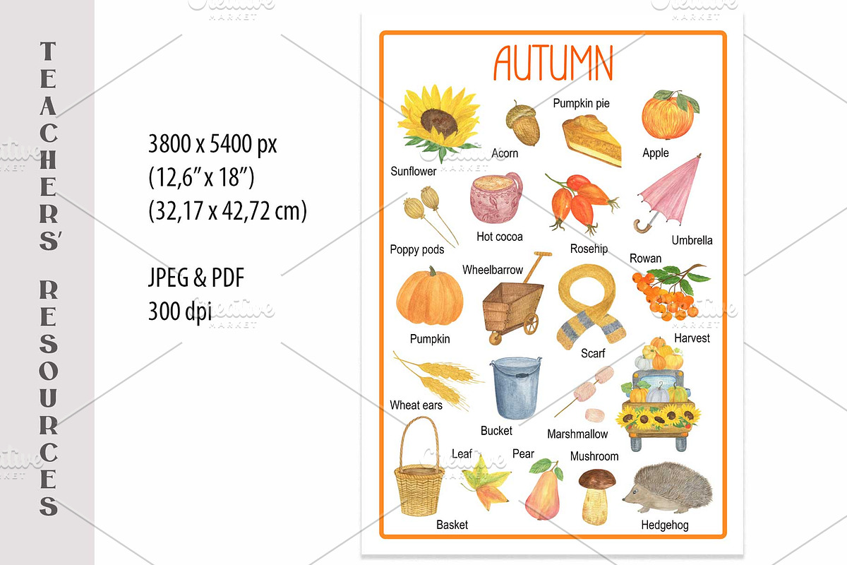 Autumn/Fall Educational Poster, an Education Illustration by Contes_de_fée (Photo 2 of 3)