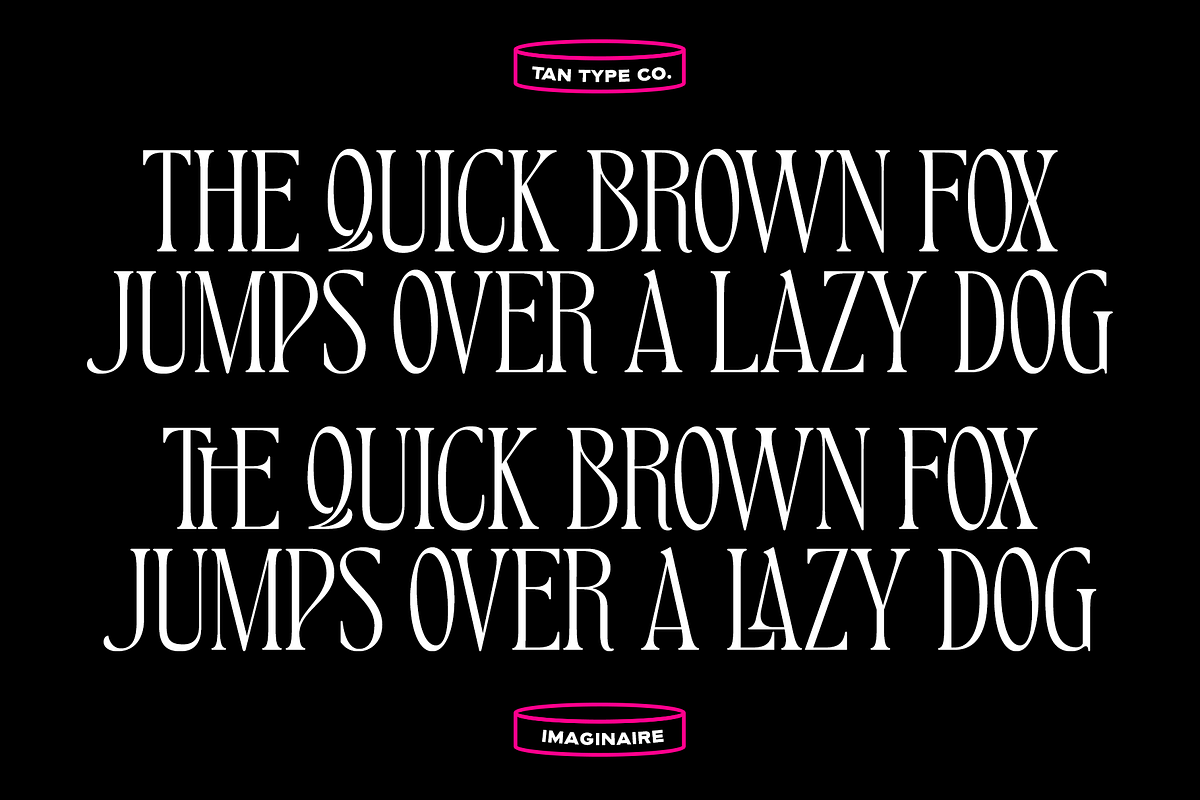 TAN - IMAGINAIRE, a Serif Font by TanType (Photo 4 of 12)