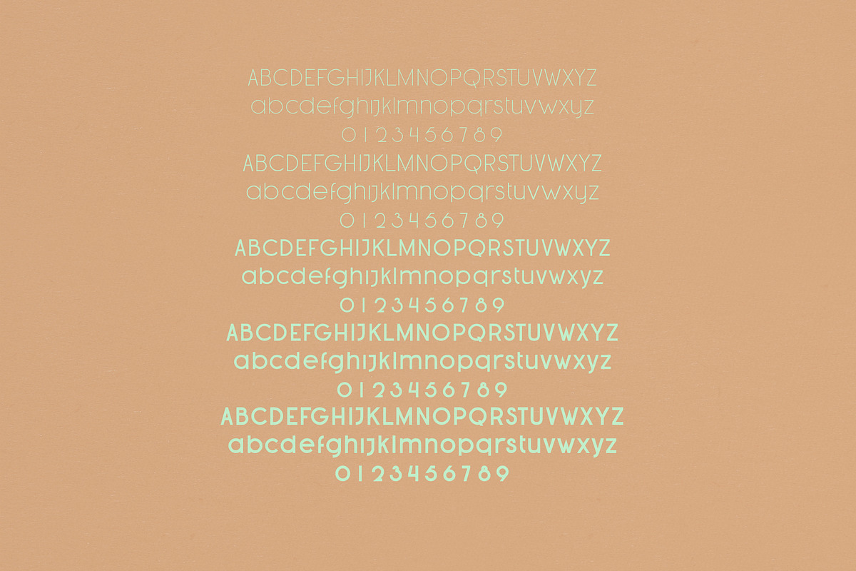 Caiman Font Family preview 4