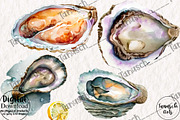 Watercolor oysters clipart, a Food Illustration by TanuschArts (Thumbnail 2 of 5)