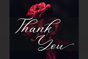 Aniyah Script Calligraphy, a Script Font by din-studio.com (Thumbnail 14 of 14)