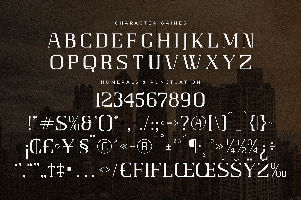 Gaines Display Serif Font, a Serif Font by Storytype Studio (Photo 13 of 14)