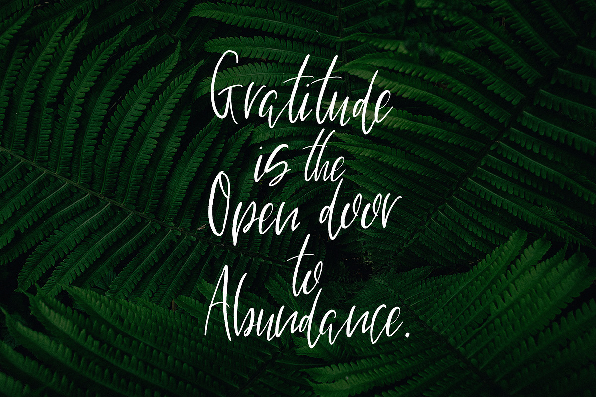 Bountiful Handlettered Font preview 8
