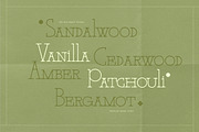 BD Holiday & Picnic, a Slab Serif Font by Brandear Design (Thumbnail 7 of 16)