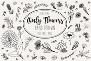 Only flowers !, an Object Graphic by MiraBell (Thumbnail 1 of 3)
