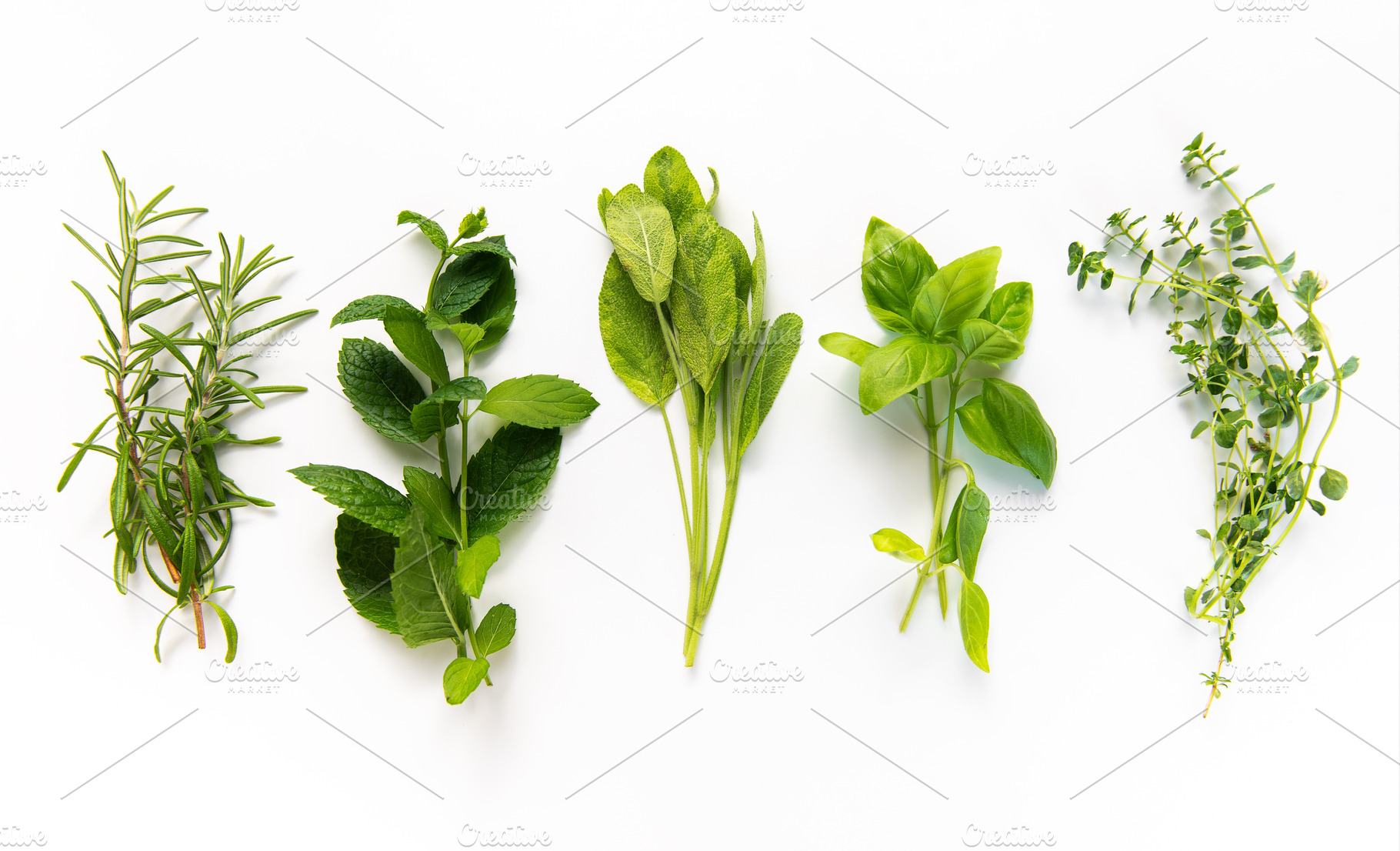 Fresh culinary herbs creating healthy cooking concept, a Food & Drink Photo by Olena Rudo
