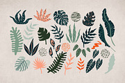Wild cats. Jungle & tropical set., an Animal Illustration by Alona Savchuk (Thumbnail 7 of 15)