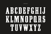 Pale Horse, a Slab Serif Font by Pale Horse (Thumbnail 5 of 11)