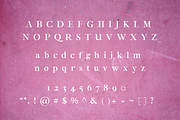 Pollyanna - Modern Serif Font, a Serif Font by blackdahliapress (Thumbnail 4 of 4)