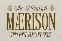 Maerison - Trio Serif Script Font