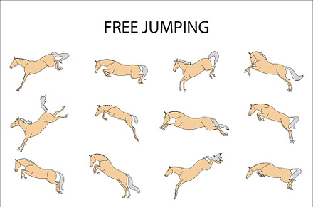 Free Jumping Horses