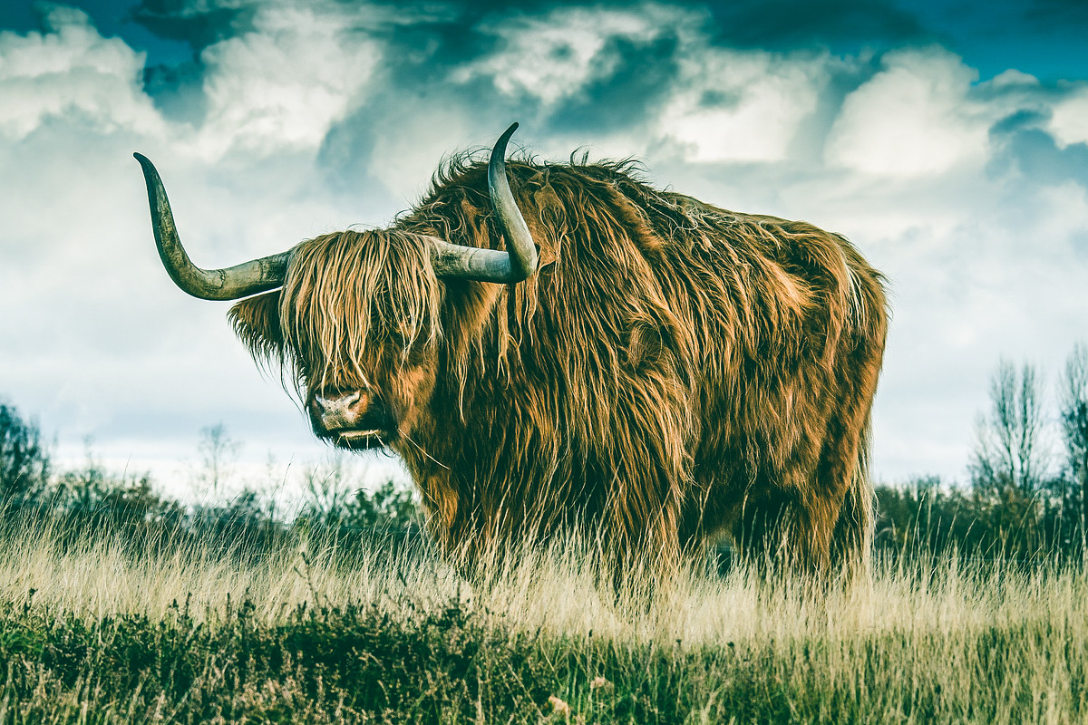 300 Professional Lightroom Presets, an Action Add-On by Madison Colt Studios (Photo 15 of 29)