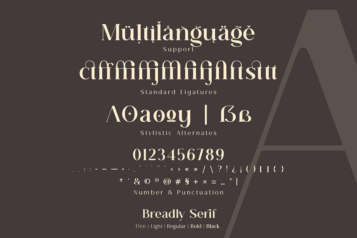 Breadley Serif, a Serif Font by Ardyanatypes (Photo 11 of 12)