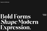 Plakent, a Serif Font by studiobasic (Thumbnail 4 of 15)