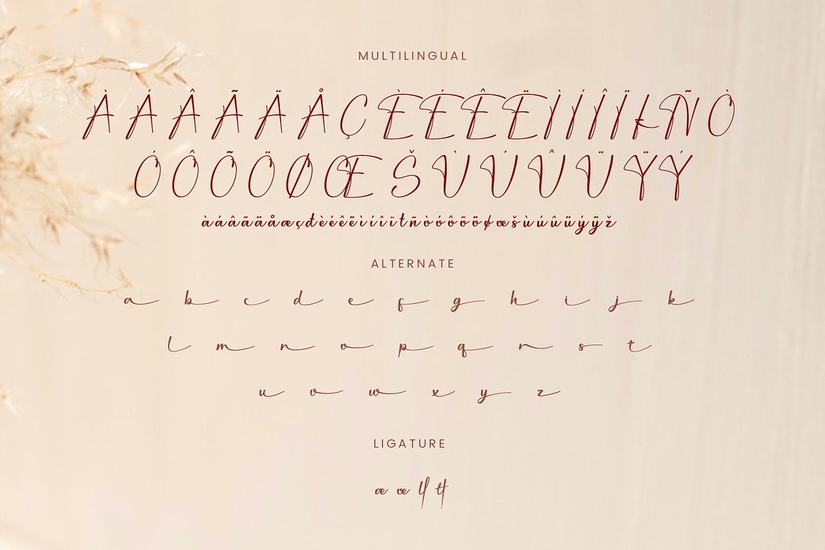 Ballory - Elegant Signature Font, a Script Font by Flawless And Co (Photo 10 of 10)