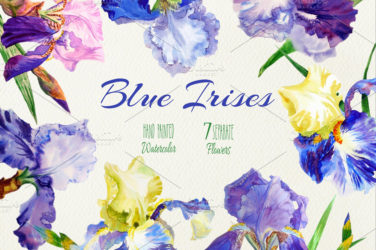 Blue Irises. Watercolor Clip Art, a Decorative Illustration by Nataliapiache (Photo 1 of 2)