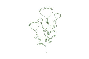 Minimalist green line art, an Object Illustration by okskukuruza