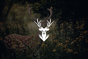 Minimalist Modern Deer Logo, a Branding & Logo Template by Luxury Logos (Thumbnail 2 of 4)