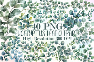 Watercolor Eucalyptus Leaf Clipart S, an Illustration by Sublimation Artist