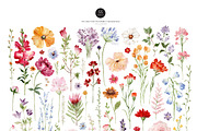 Watercolor Flower -GARDEN WILDFLOWER, a Decorative Illustration by Beigetime (Thumbnail 3 of 15)