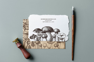 Vector Mushroom Sketches Set